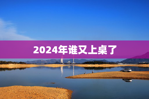 2024年谁又上桌了