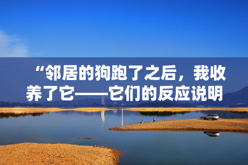 “邻居的狗跑了之后，我收养了它——它们的反应说明了一切。”