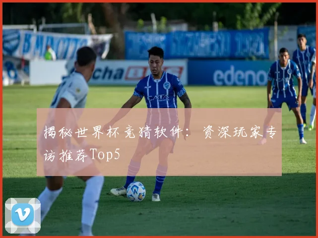 揭秘世界杯竞猜软件：资深玩家专访推荐Top5