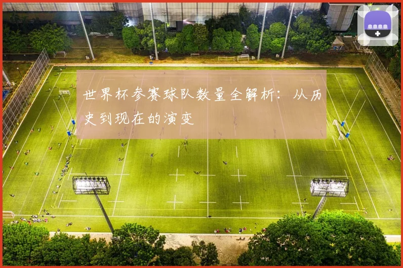世界杯参赛球队数量全解析：从历史到现在的演变