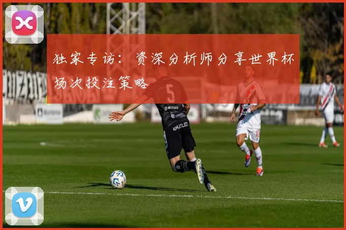 独家专访：资深分析师分享世界杯场次投注策略