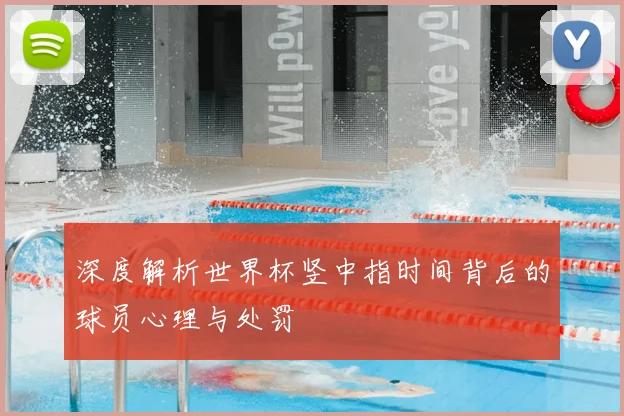 深度解析世界杯竖中指时间背后的球员心理与处罚
