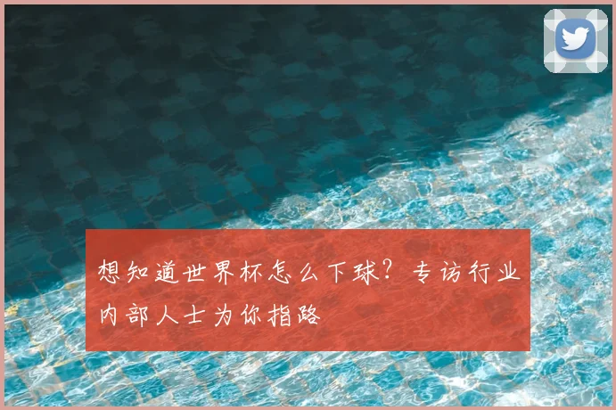 想知道世界杯怎么下球?专访行业内部人士为你指路