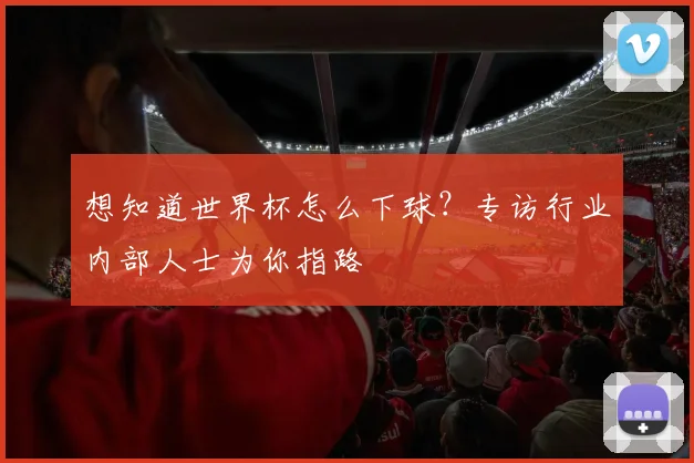 想知道世界杯怎么下球？专访行业内部人士为你指路