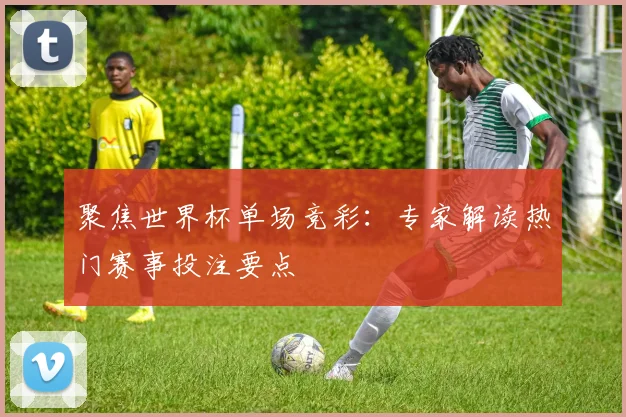 聚焦世界杯单场竞彩:专家解读热门赛事投注要点