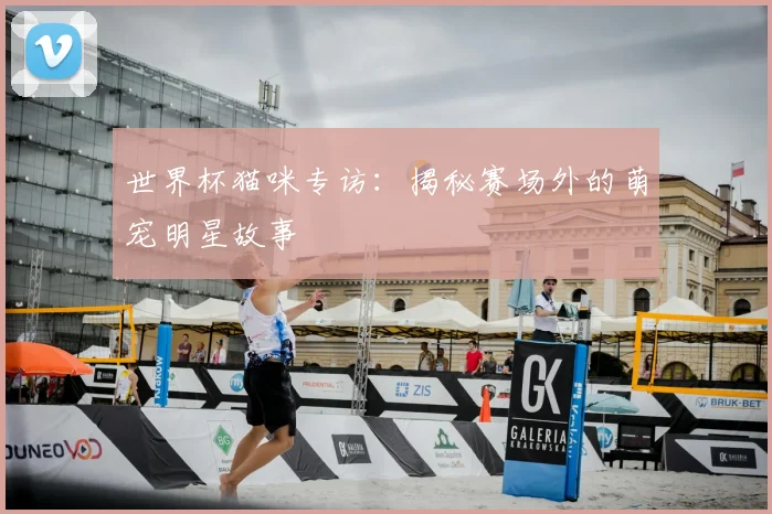 世界杯猫咪专访：揭秘赛场外的萌宠明星故事