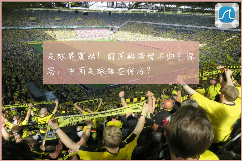 足球界震动！前国脚滞留不归引深思，中国足球路在何方？