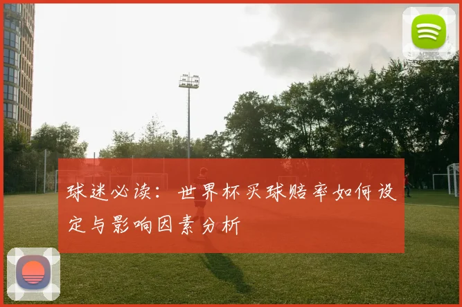 球迷必读：世界杯买球赔率如何设定与影响因素分析