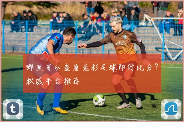哪里可以查看竞彩足球即时比分？权威平台推荐