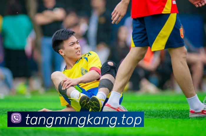 mksports官方app官网入口品牌故事