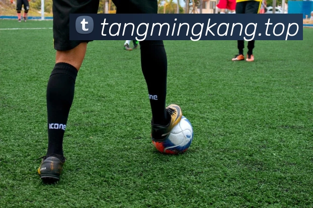 mksports官方app官网入口服务体系